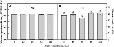 Physiological and biochemical responses of Limonium tetragonum to NaCl concentrations in hydroponic solution